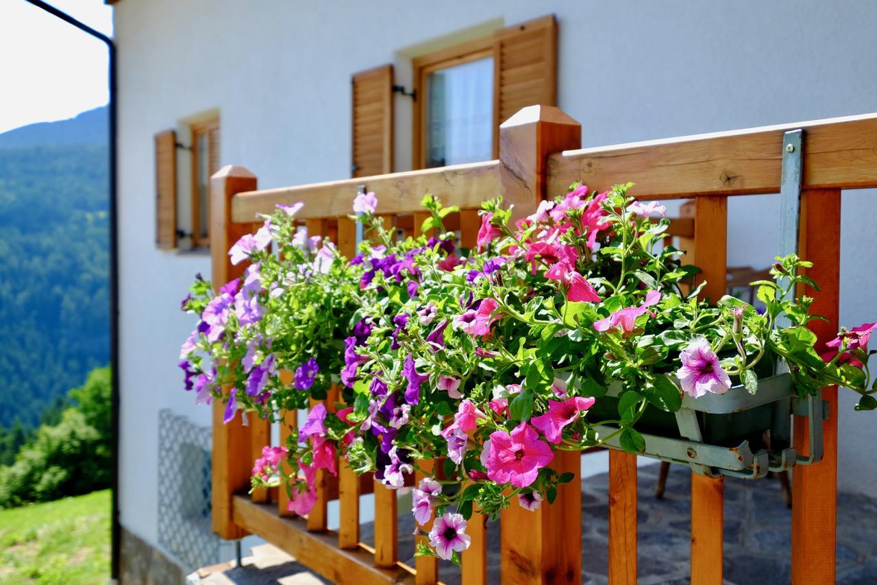 Agriturismo Reinhof San Felice  المظهر الخارجي الصورة